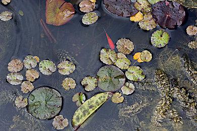 《赛博朋克2077》发布感谢视频 感激玩家们的一路支持 